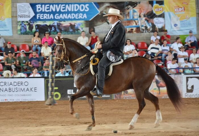 Valledupar vivirá una nueva edición de la Feria Ganadera de Valledupar.