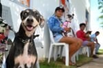 Esterilización CBA
