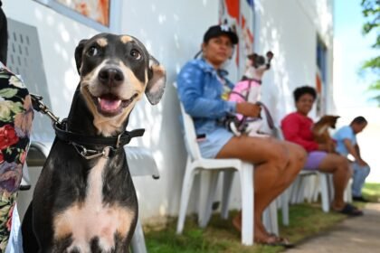 Esterilización CBA