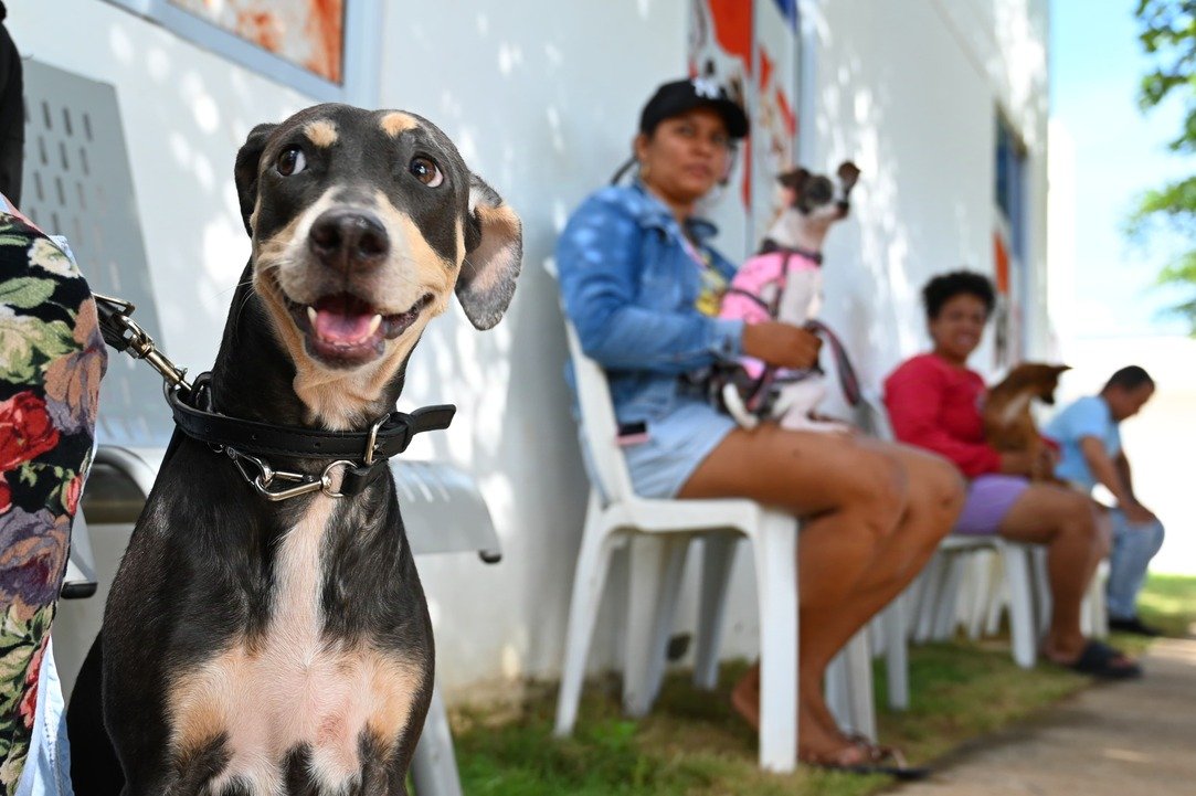 Esterilización CBA