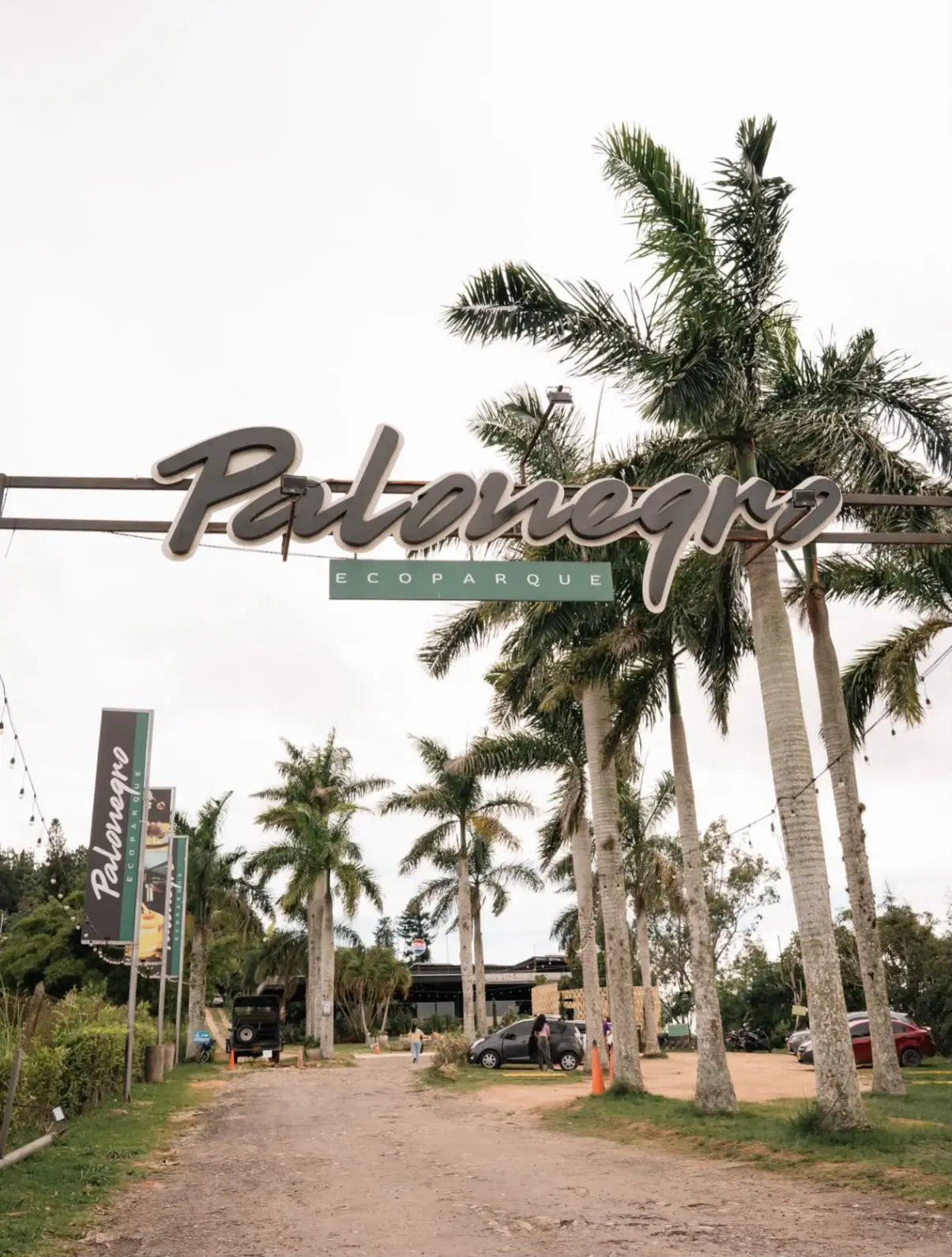 PALONEGRO